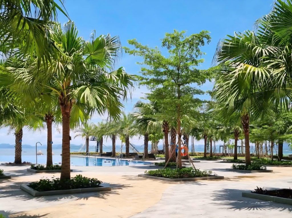 cây cọ mỹ