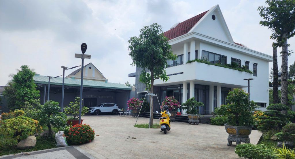 cây ăn quả