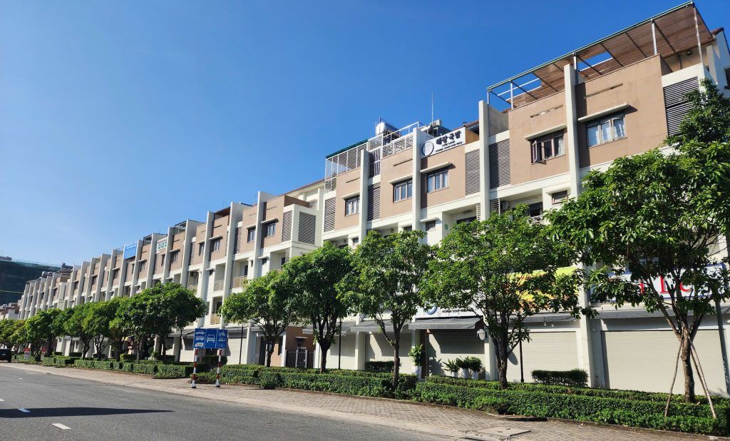 cây lộc vừng bóng mát