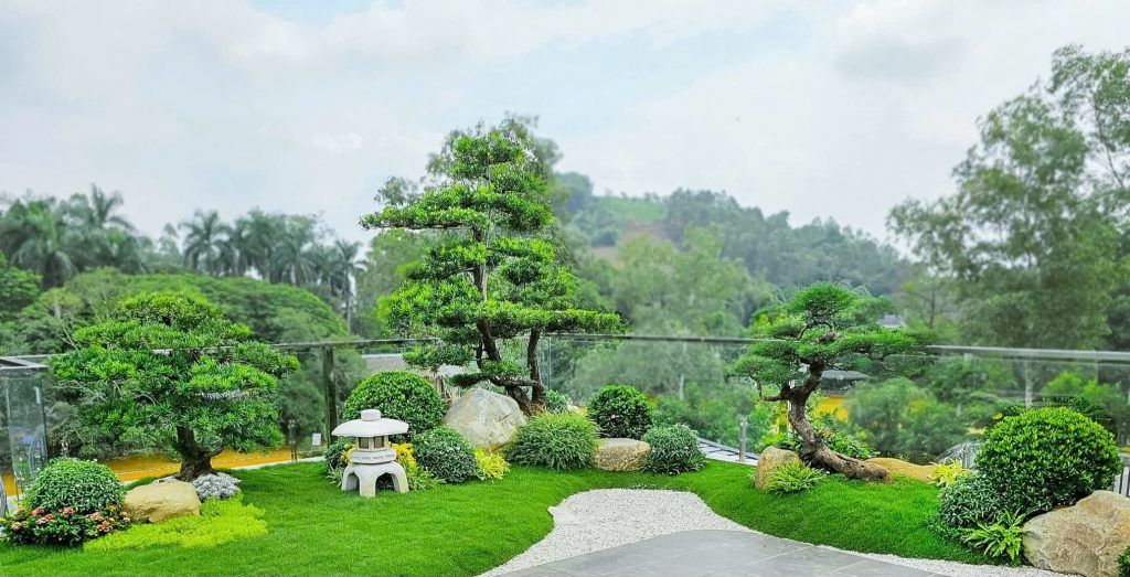 Thiet Ke Tieu Canh Ban Cong