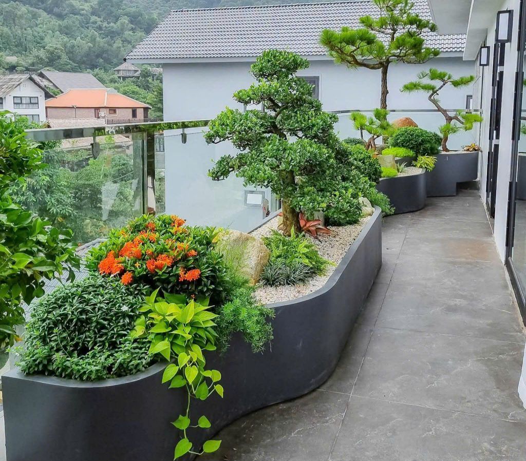 Vuon Ban Cong
